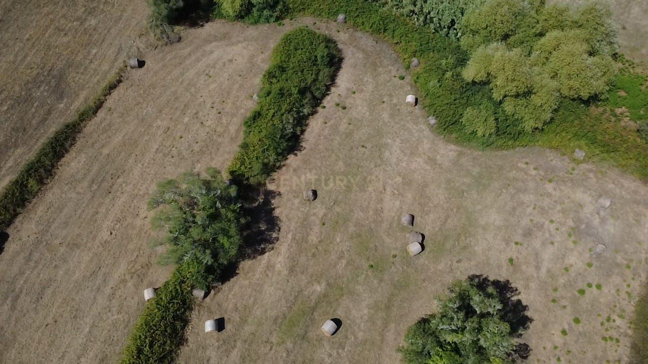 Fotografia 9 de Terreno rústico em área REN