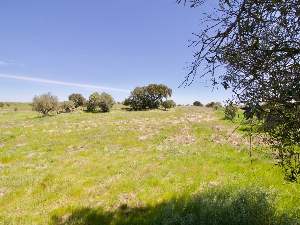 Moradia T3 em Évora - Image 53