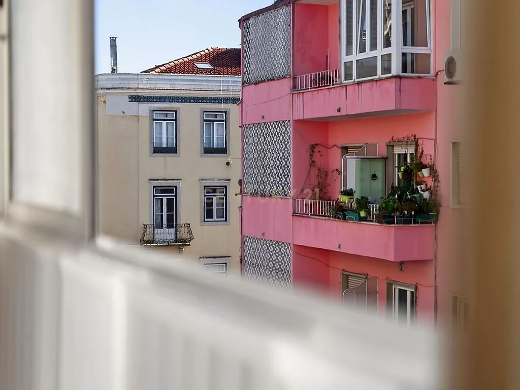 T1 Renovado em Campo de Ourique, Lisboa - Image 33