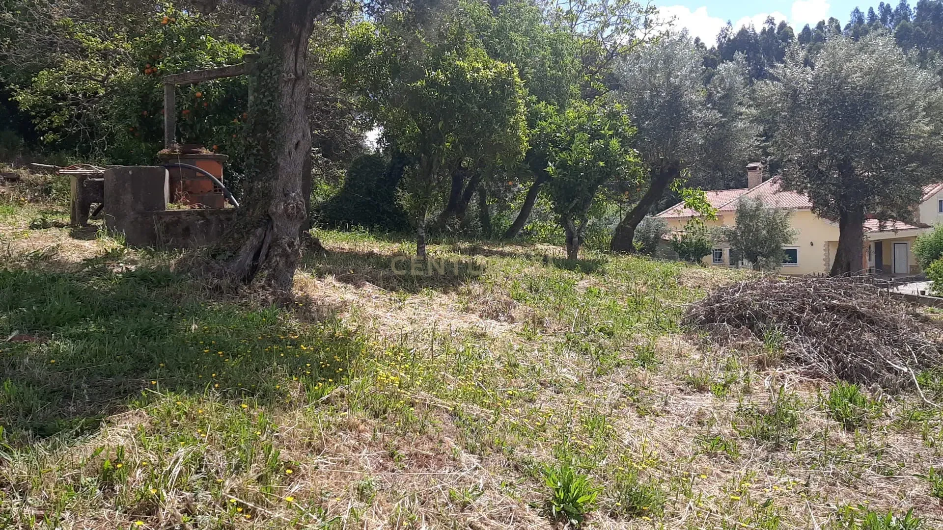 Fotografia 9 de Propriedade para Recuperação em Areias, Ferreira do Zêzere