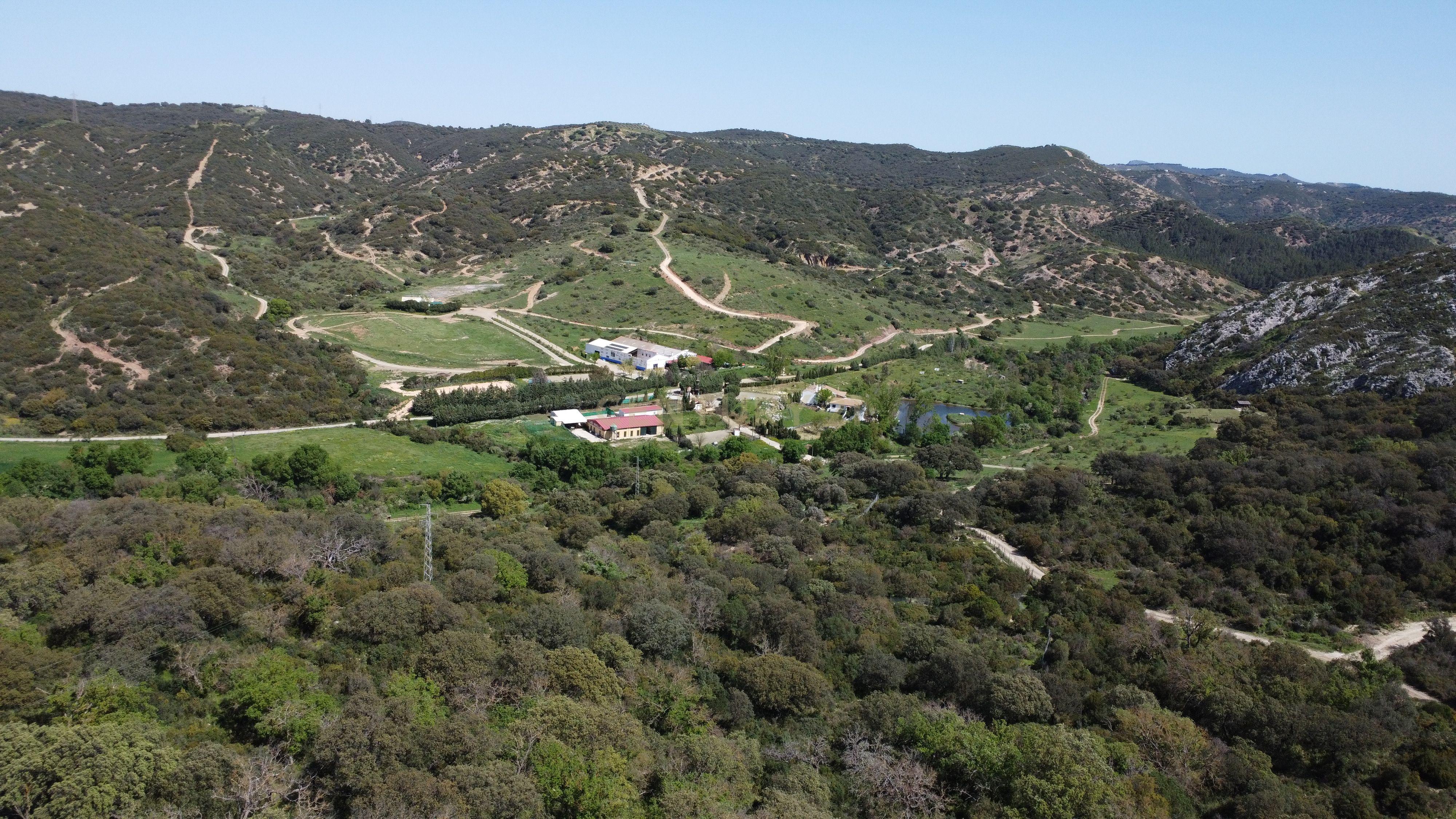 VENDA DE PROPRIEDADE RÚSTICA EM ANTEQUERA COM EXPLORAÇÃO DE AGROTURISMO - Image 8