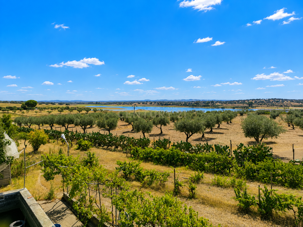 Herdade | Praia Fluvial de Oriola | Portel | Évora - Image 1