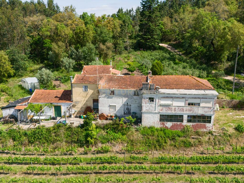 Quinta com 8 hectares com potencial para construção – Antanhol - Coimbra - Image 1