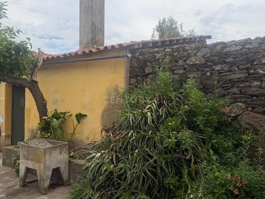 Excelente Oportunidade! Espaçosa Moradia T3 com Terraço em Mata, Castelo Branco - Image 8