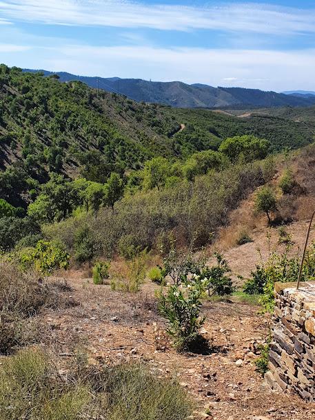 Terreno com Vista Panorâmica em Valhelhas, Guarda - Image 14