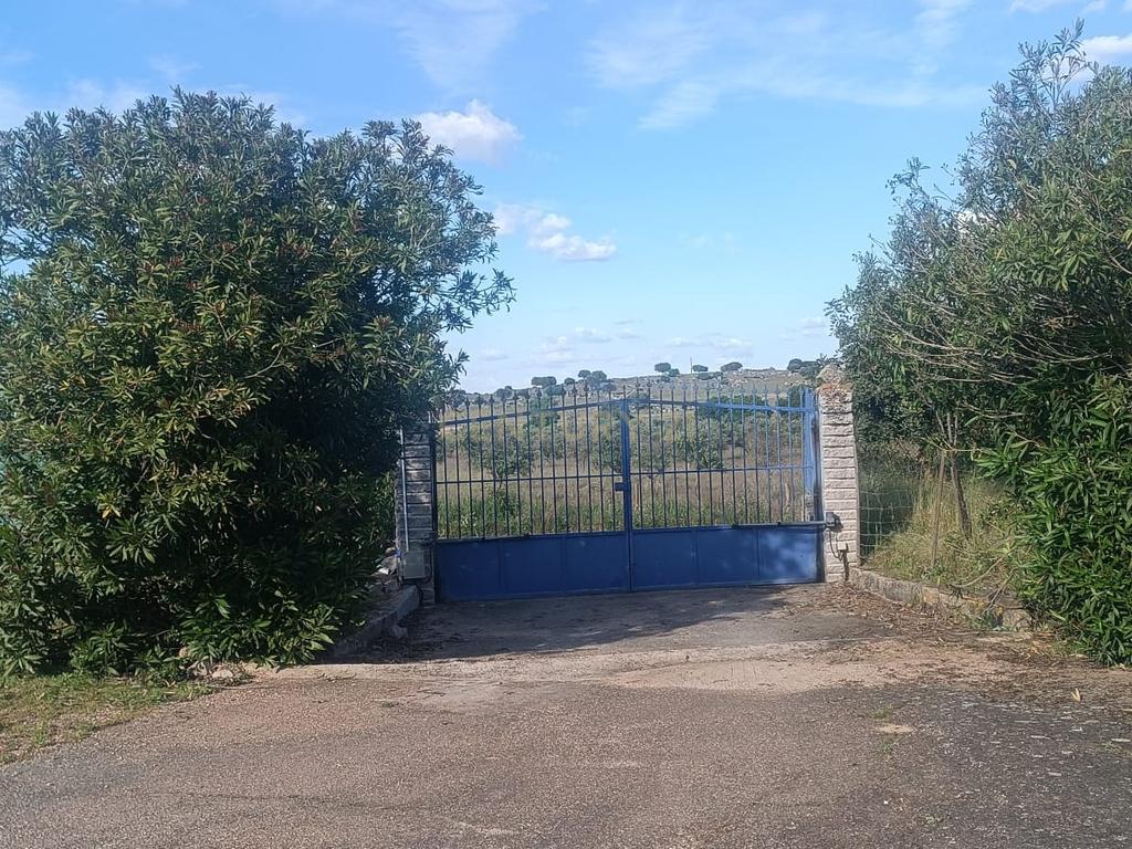 Excelente terreno em Santa Eulália Elvas - Image 2