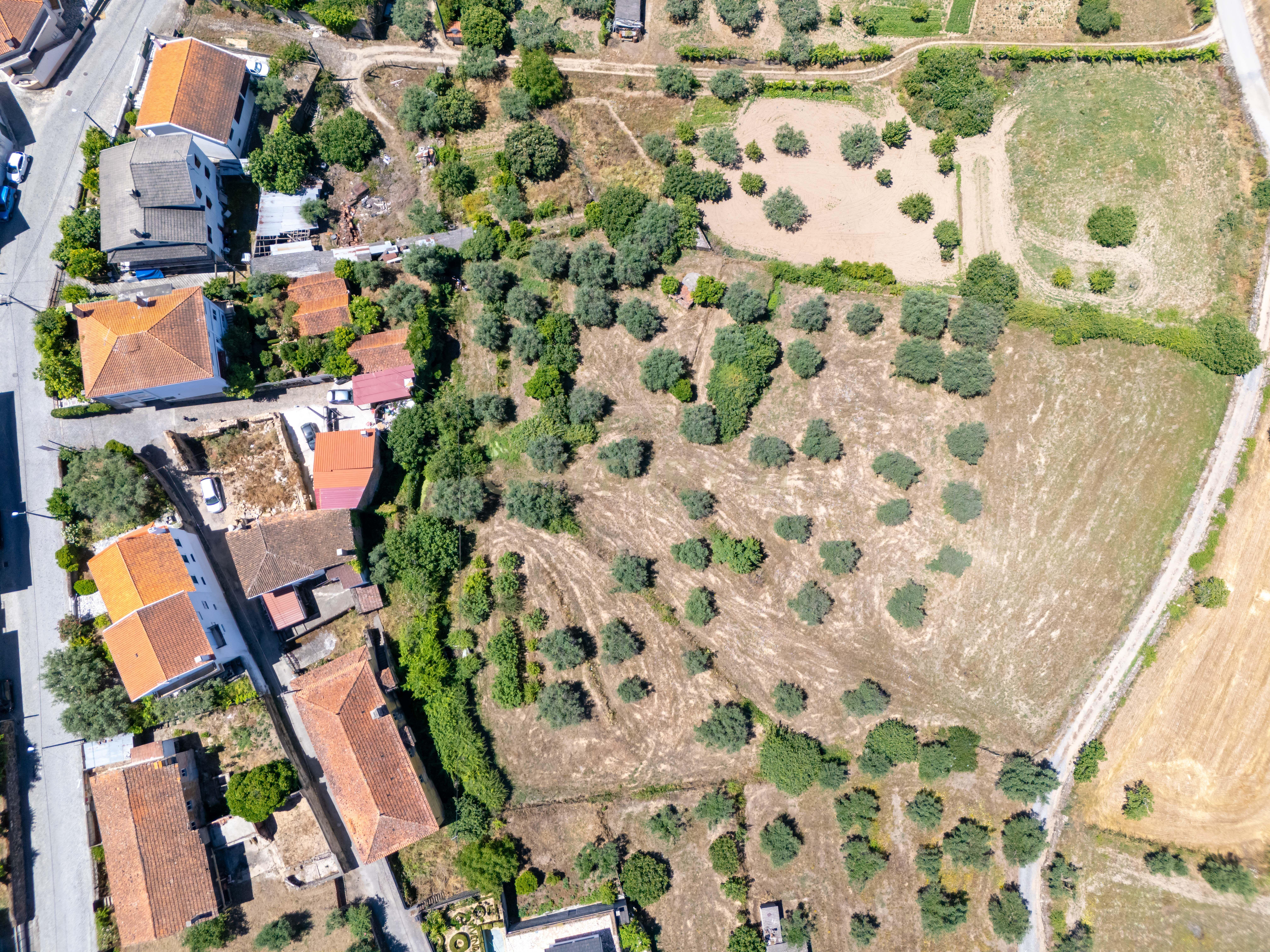 Casa Senhorial com Jardim e Terreno, Ferro, Covilhã - Image 6