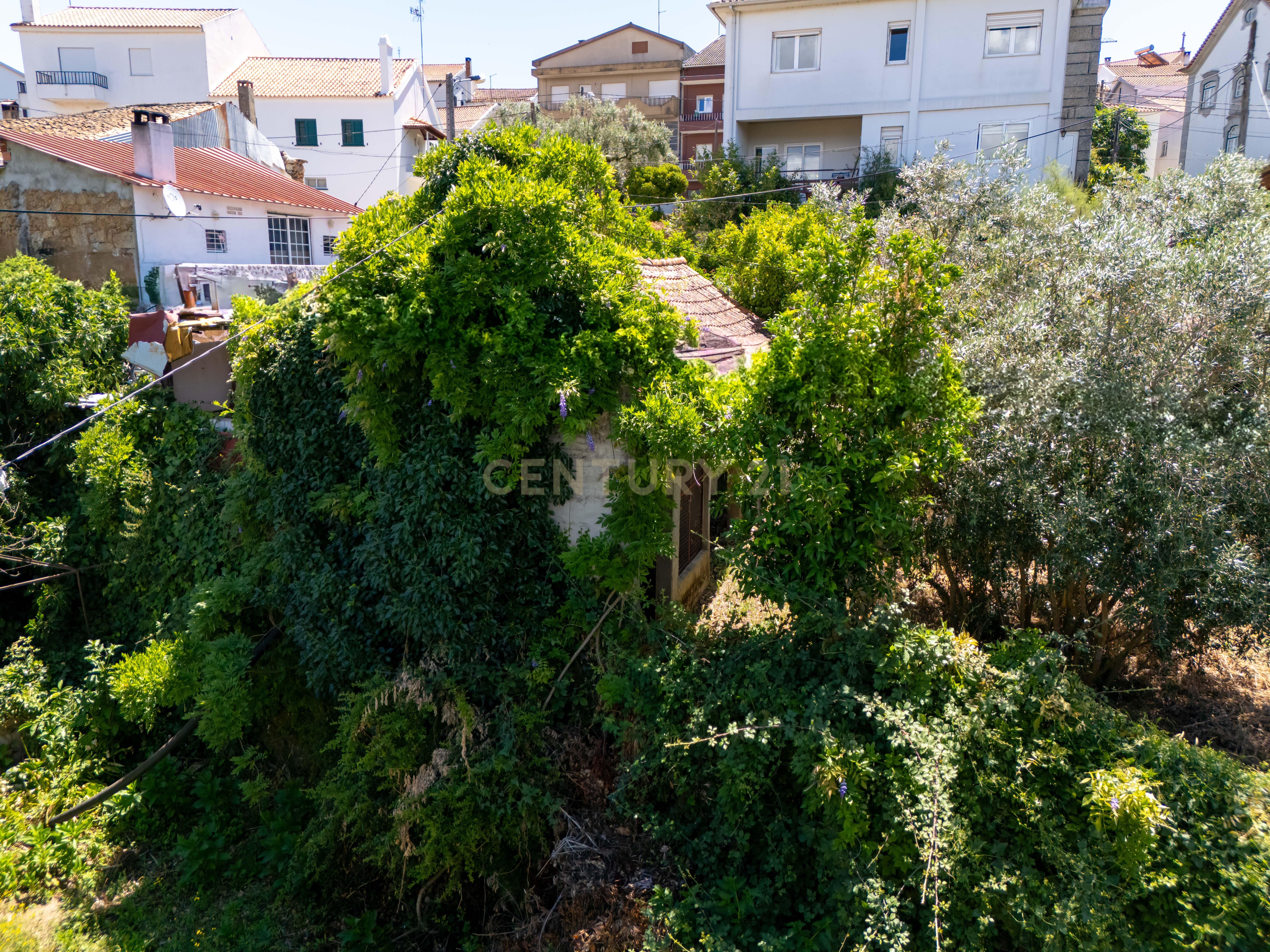 Casa Senhorial com Jardim e Terreno, Ferro, Covilhã - Image 36