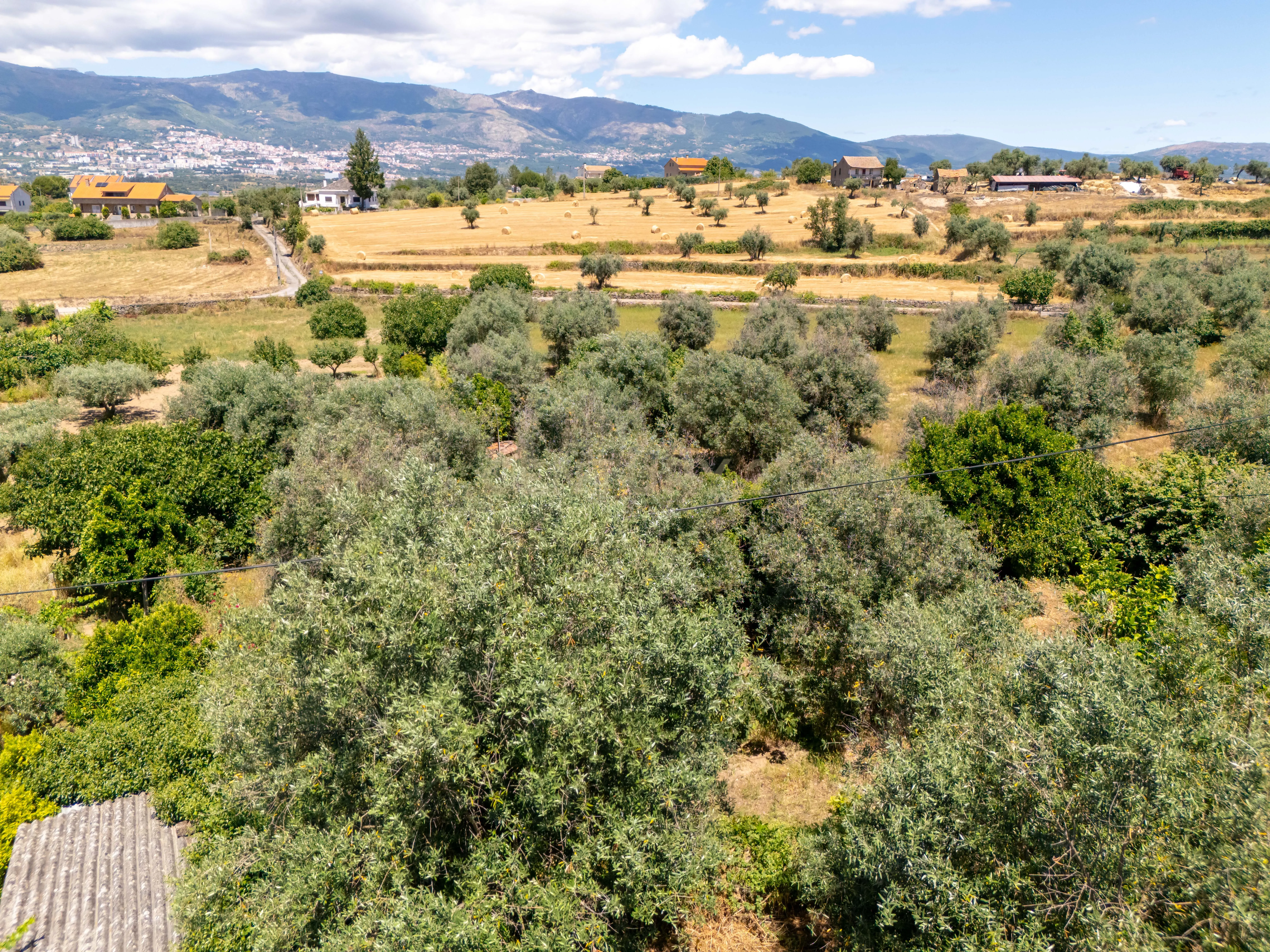 Casa Senhorial com Jardim e Terreno, Ferro, Covilhã - Image 35