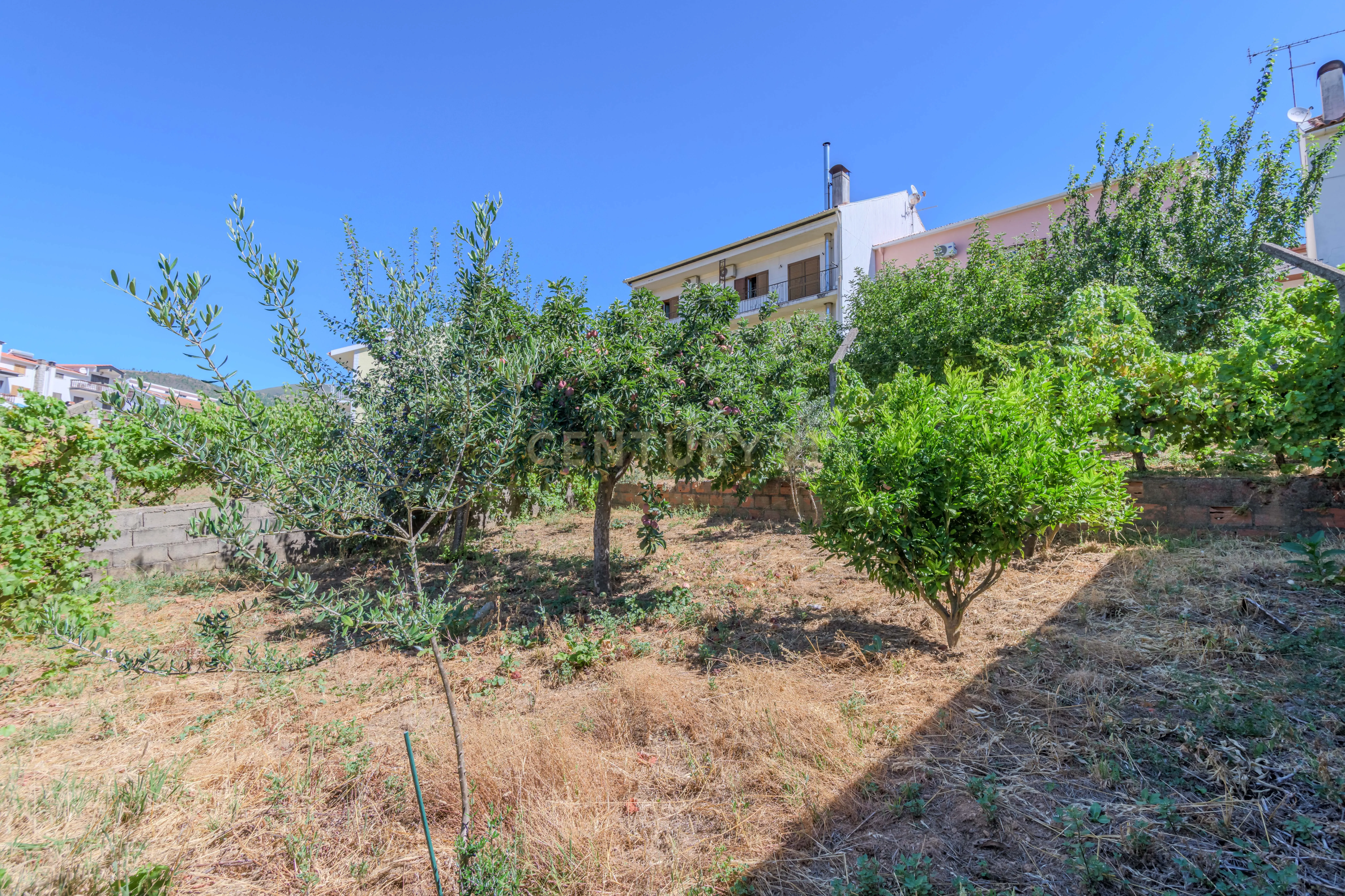 Moradia T3 Erada , Covilhã - Image 23
