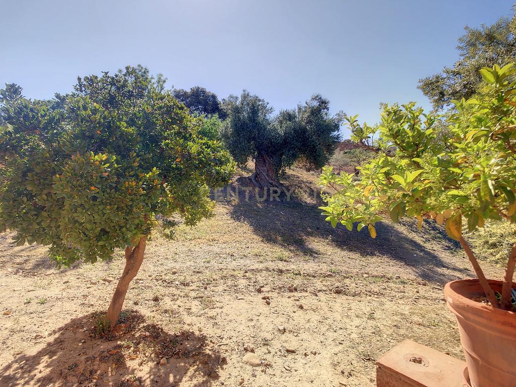 CASA DE LUXO DE CAMPO À VENDA EM ALMOGÍA - MÁLAGA - Image 7