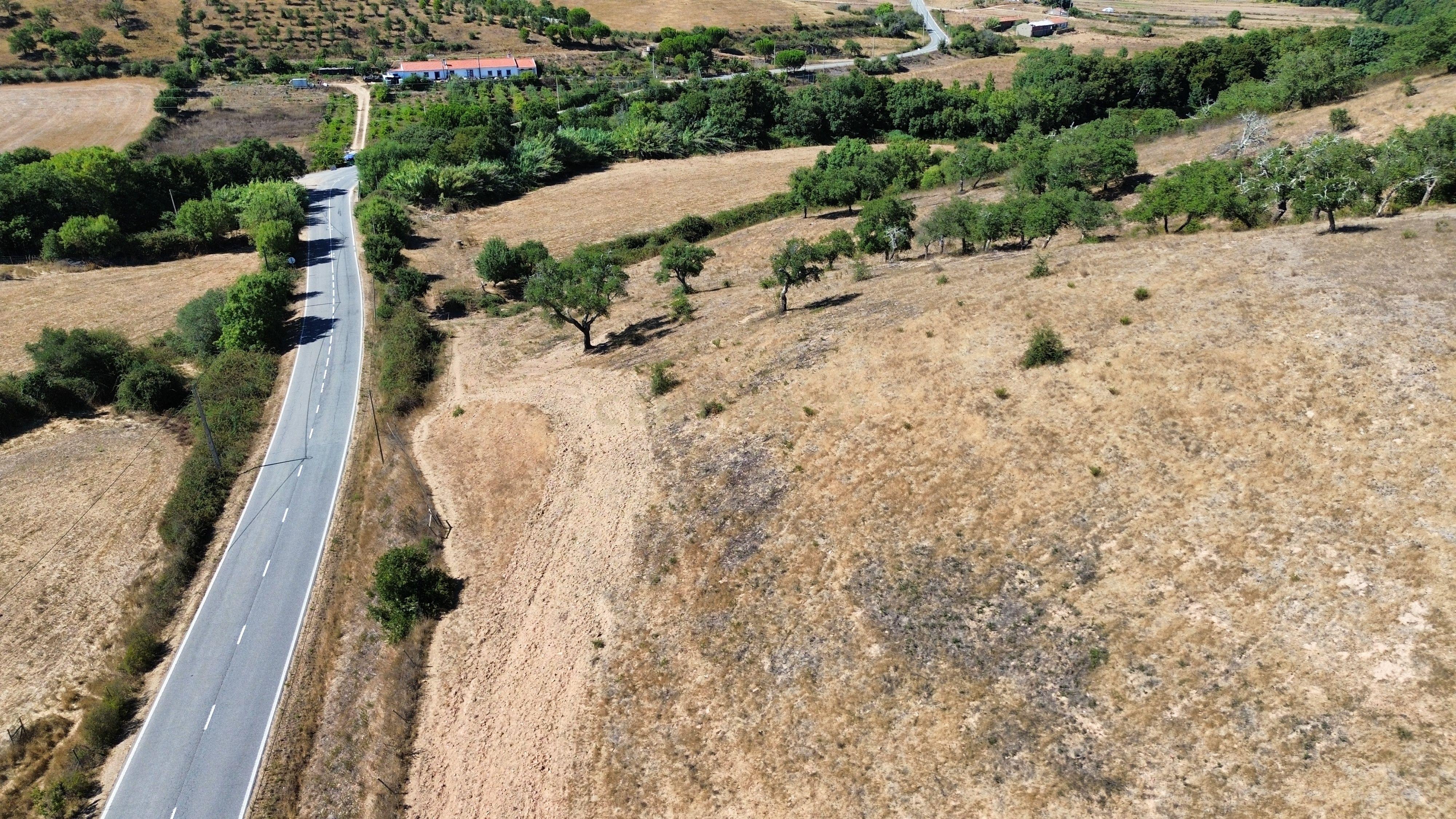 Fotografia 3 de HERDADE COM 193 HECTARES | BOAVISTA DOS PINHEIROS, ODEMIRA