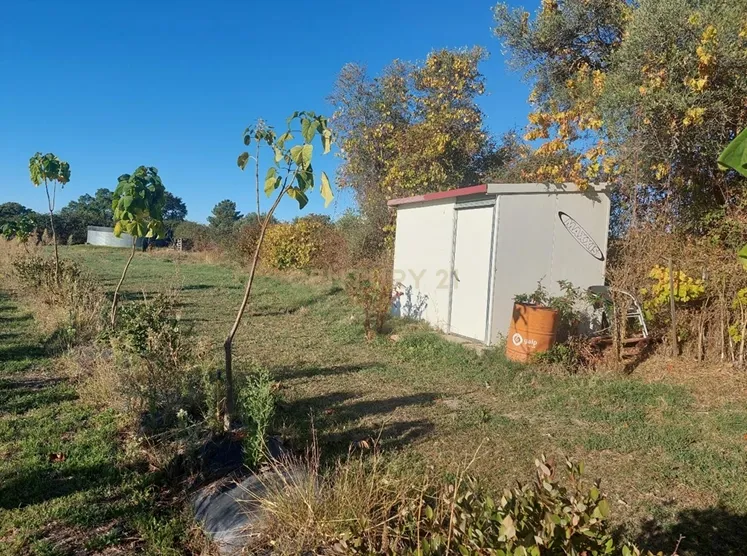 Quinta em Soalheira, Fundão - Oportunidade Única! - Image 11