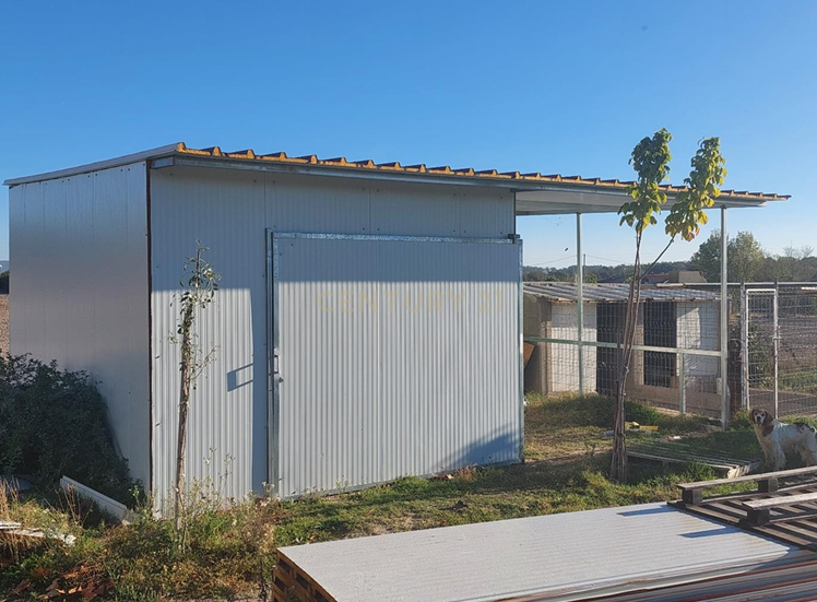 Quinta em Soalheira, Fundão - Oportunidade Única! - Image 3