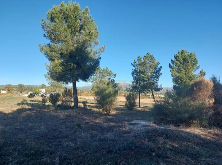 Quinta em Soalheira, Fundão - Oportunidade Única! - Image 7