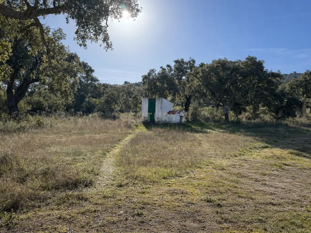🏡 Quinta rural com casa e piscina na Serra de San Pedro (Cáceres) 🌿 - Image 29