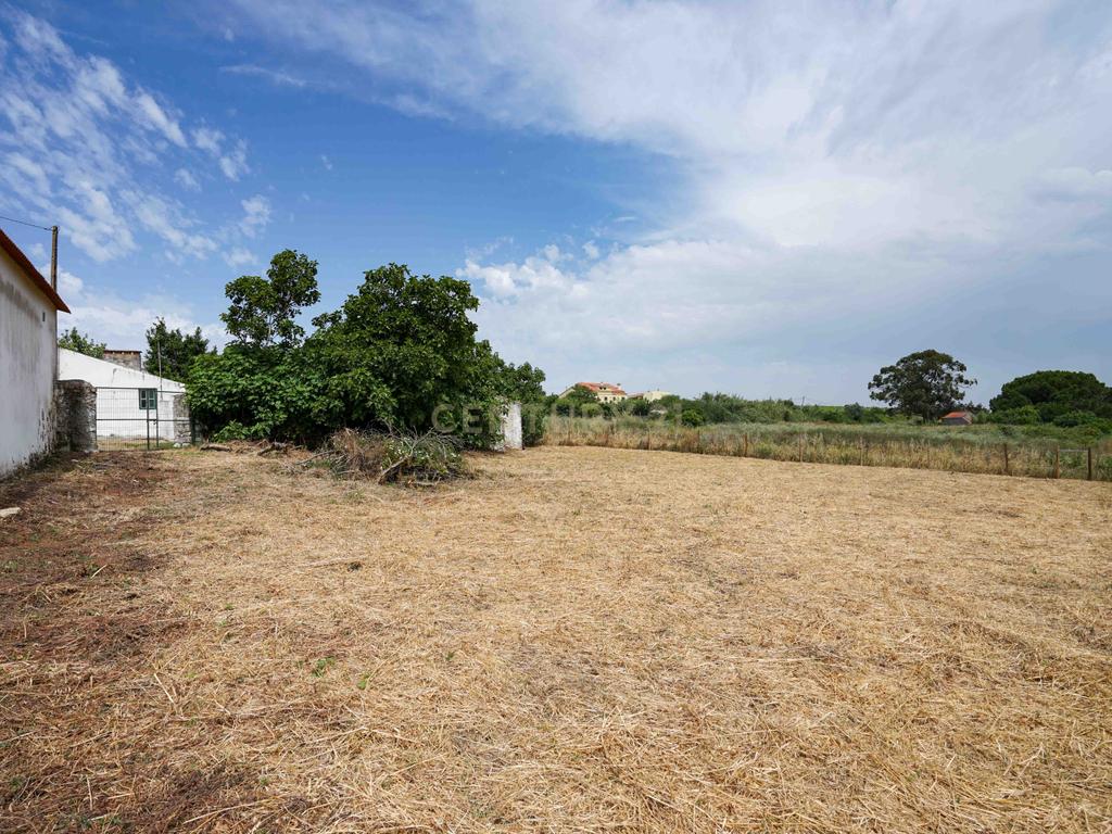Quinta Arruda dos Vinhos|Casal das Eiras, Alenquer - Image 30
