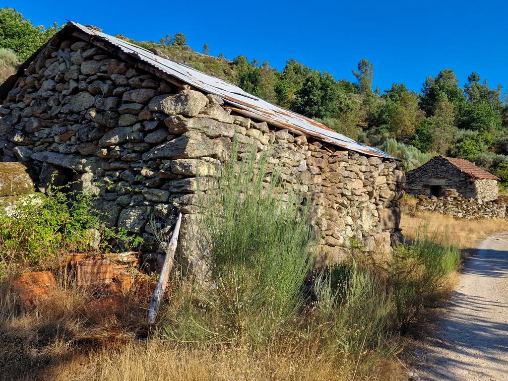 Quinta com Casa para Recuperação em Ferreira de Aves, Viseu - Image 14