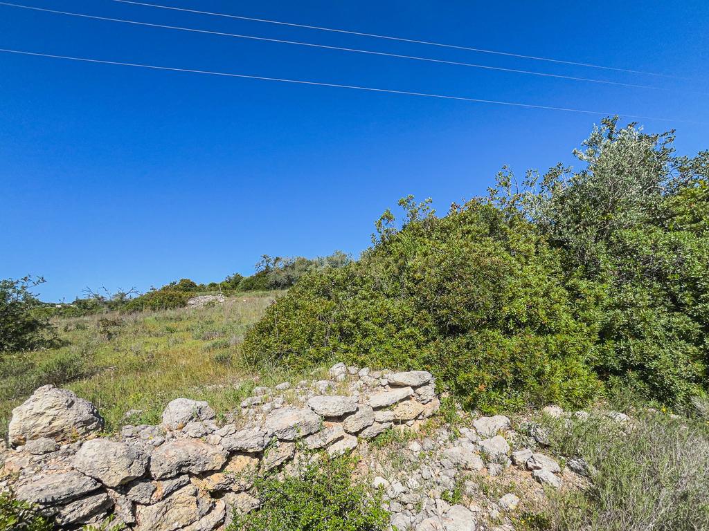 Terreno rústico com 15.830 m² localizado na prestigiada zona da Torre, em Armação de Pêra. - Image 14