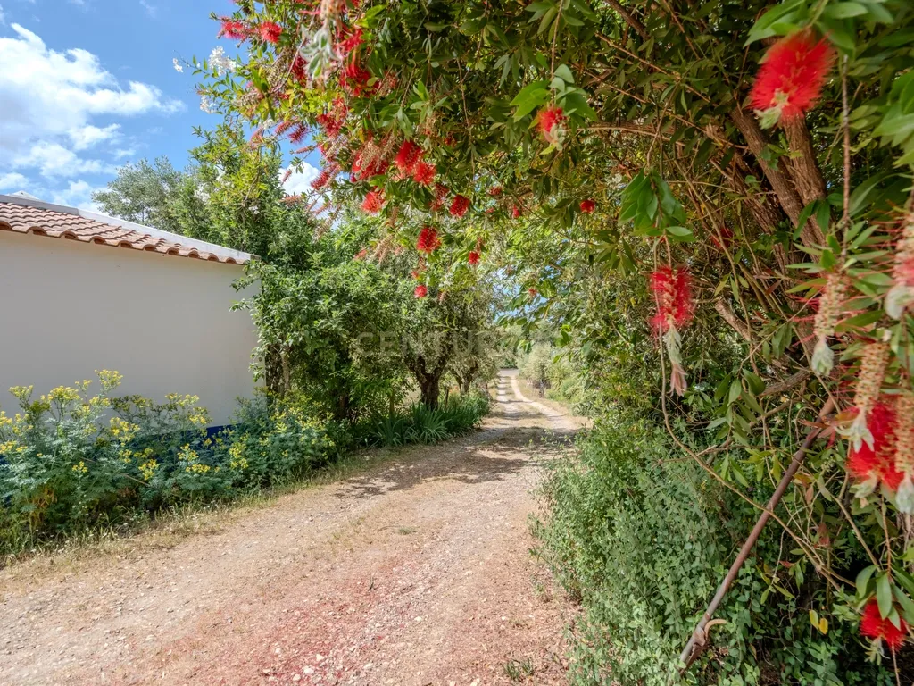 Quinta T3+3 com 4 HA em Borba – Natureza, Produção Agrícola e Conforto - Image 22