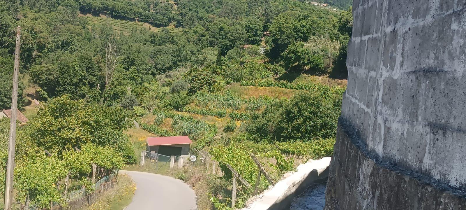 Terreno agrícola com àgua e viabilidade de construção em Granja, S. Tomé de Covelas, Baião, perto do do rio Douro, Porto - Image 41