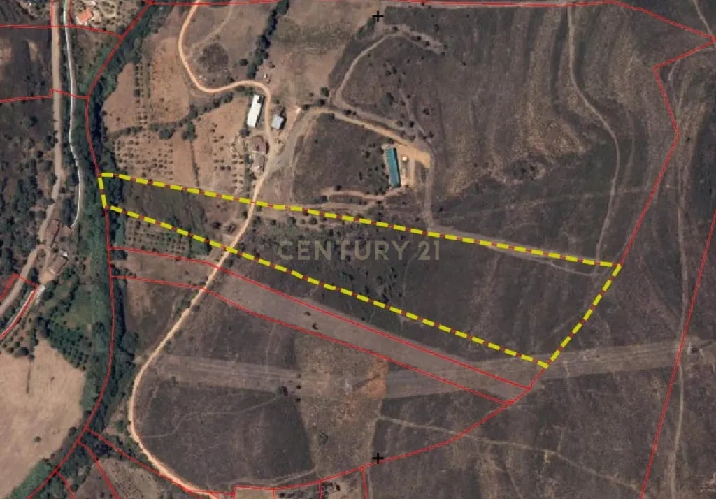 Oportunidade Única – Quinta com Potencial e Ribeira Natural - Image 16