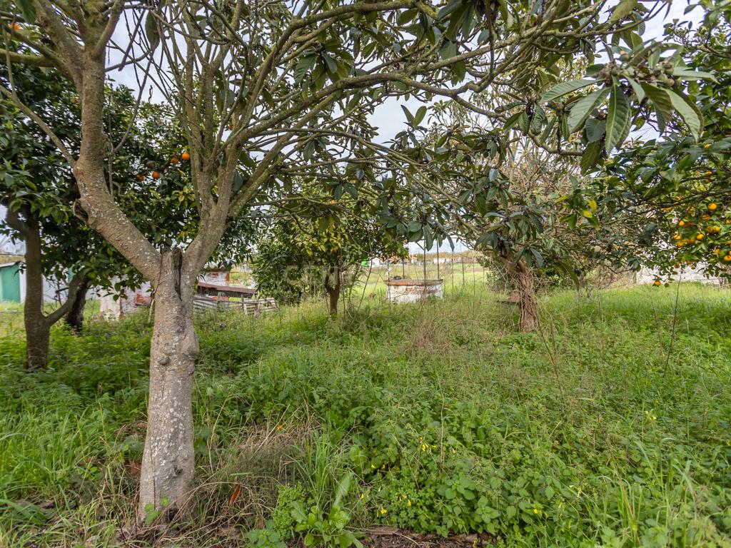 Moradia em Alhos Vedros - Moita  - Image 39