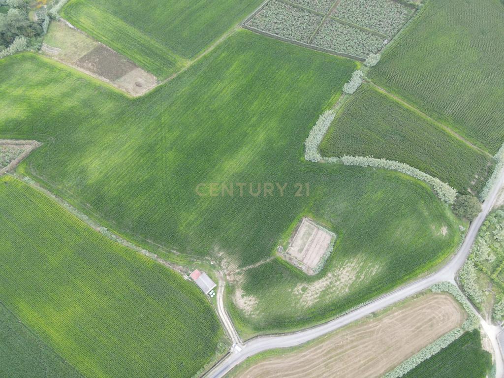 Terreno Agrícola com Armazém e Vista Mar — Um Refúgio Natural na Ribeira das Tainhas!  - Image 5