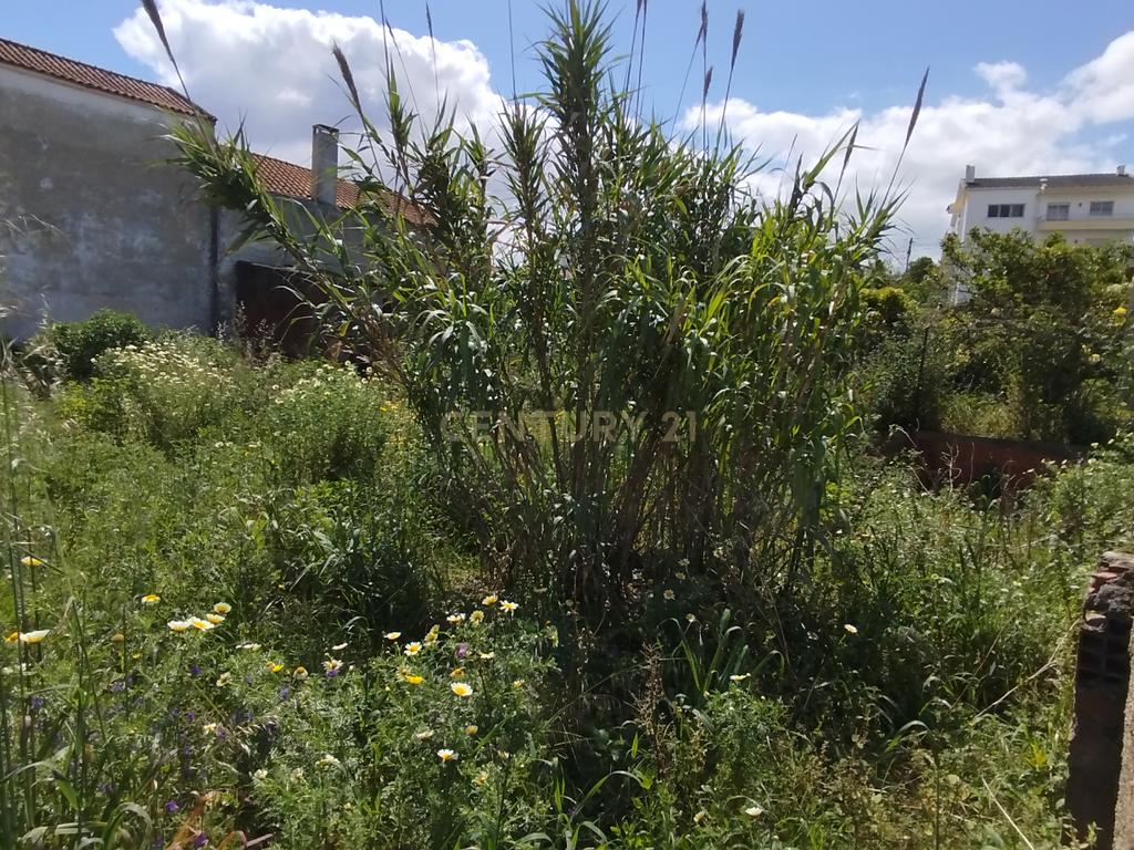 Terreno Urbano com 325m2 – Charneca da Caparica - Image 9