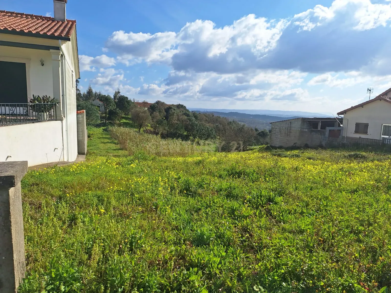 Fotografia 5 de Excelente terreno para construção, em Colmeias Serra do Branco!