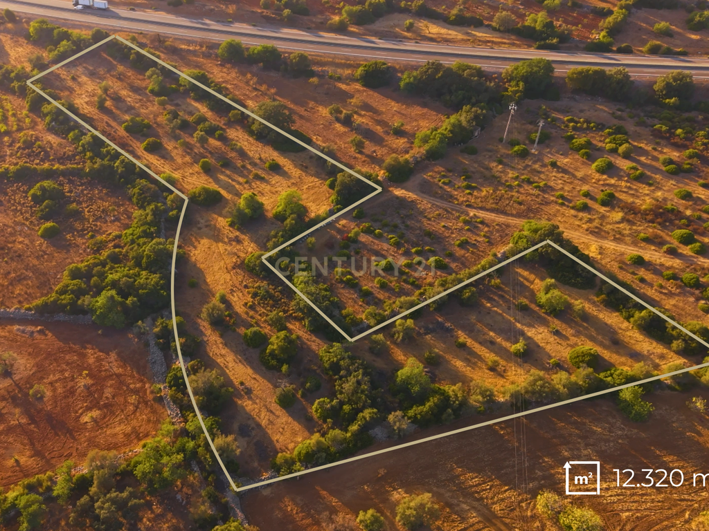 Terreno Rústico com 12.300 m² em Moncarapacho - Olhão - Algarve - Image 2