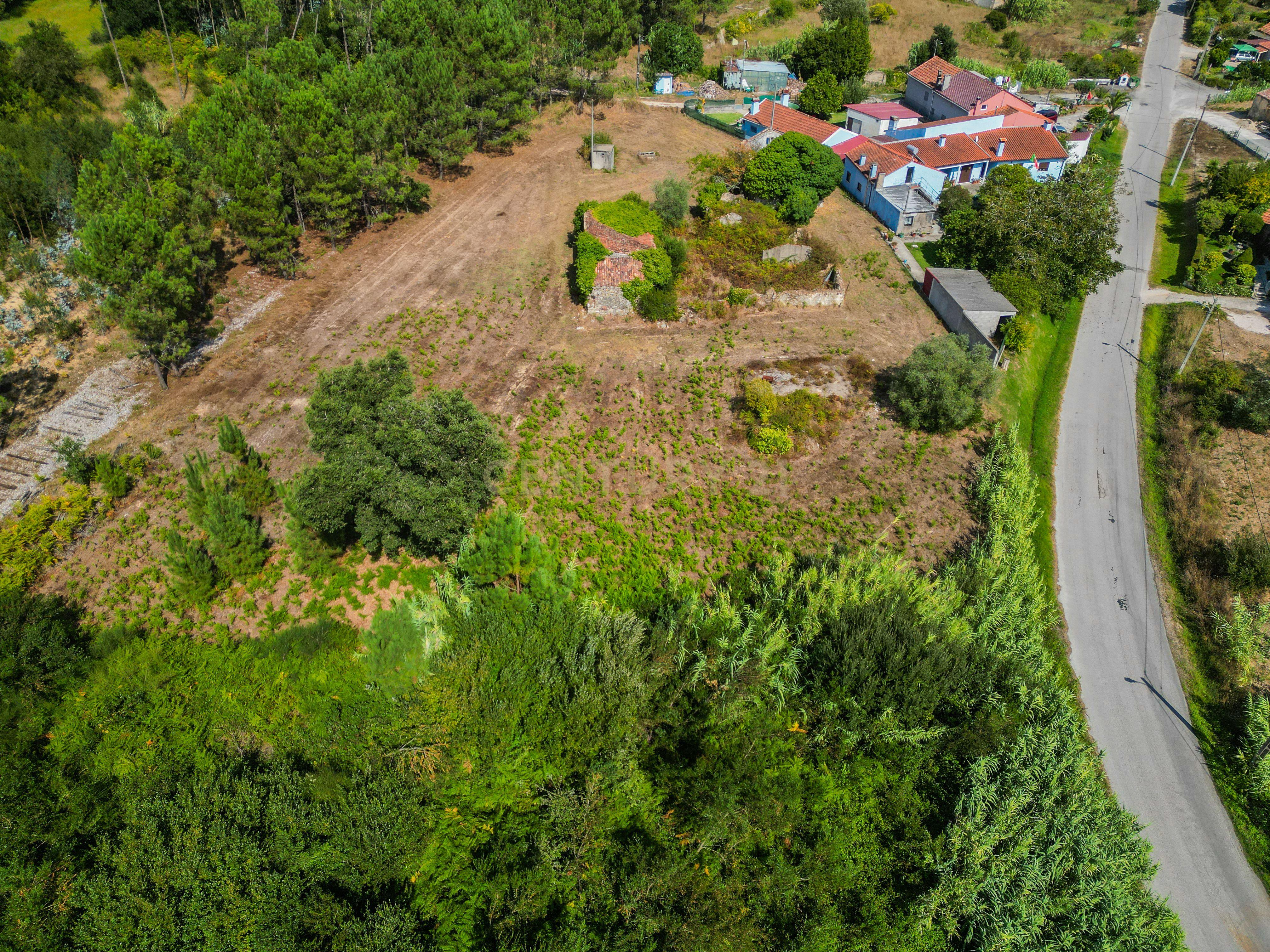 Fotografia 9 de Conjunto de terrenos com cerca de 1.690 m² e potencial construtivo em Costeira, Alhadas – Figueira da Foz