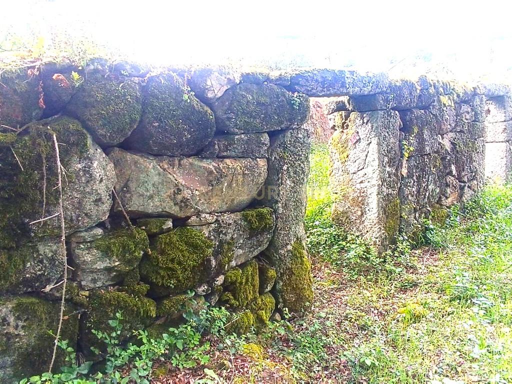 Belíssima ruína em terreno verdejante com vista deslumbrante para o Rio Douro, Baião, Porto - Image 11