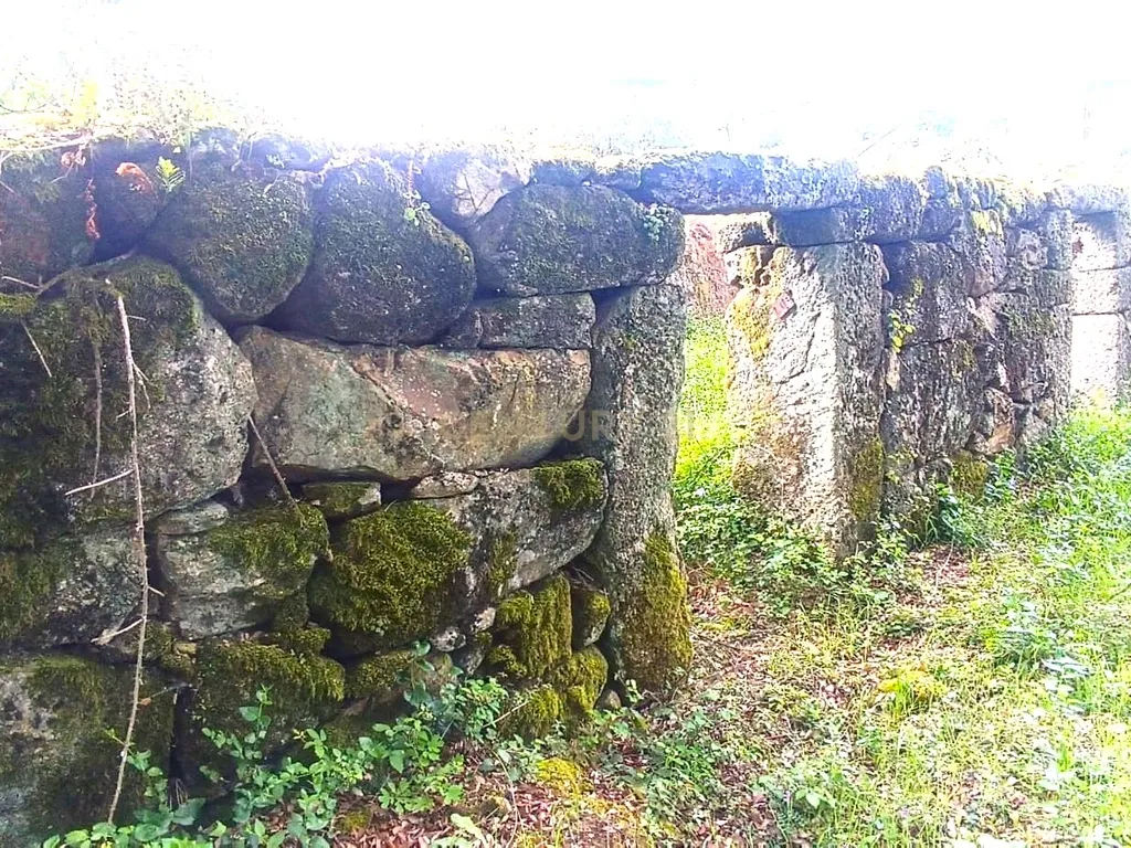 Belíssima ruína em terreno verdejante com vista deslumbrante para o Rio Douro, Baião, Porto - Image 11
