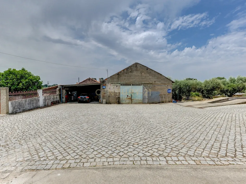 OPORTUNIDADE 360º – Moradia T3 + Posto de Combustível GALP + Terrenos (36 000 m²) - Image 98