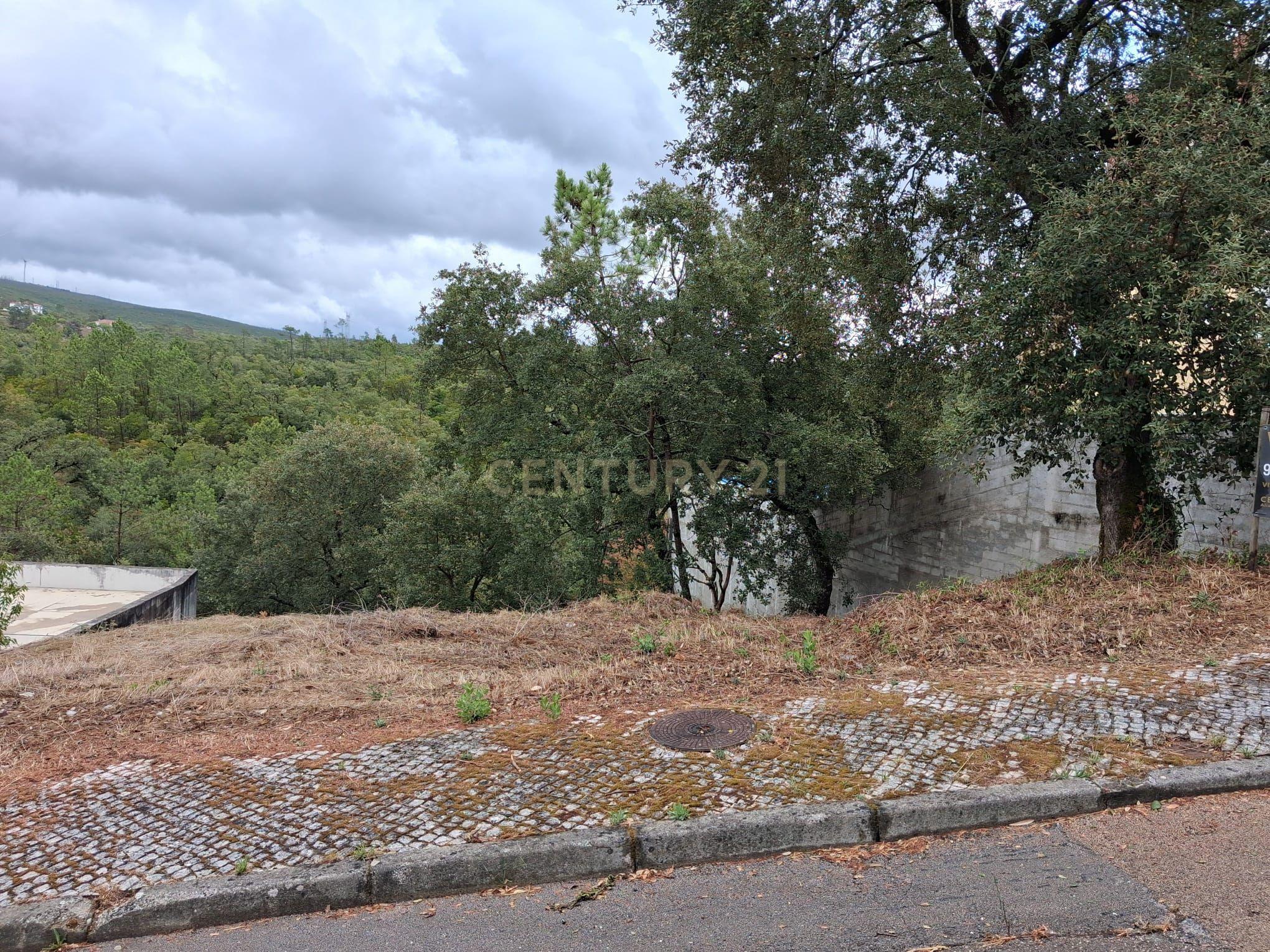 Fotografia 8 de Lote em Zona Nobre de Pombal