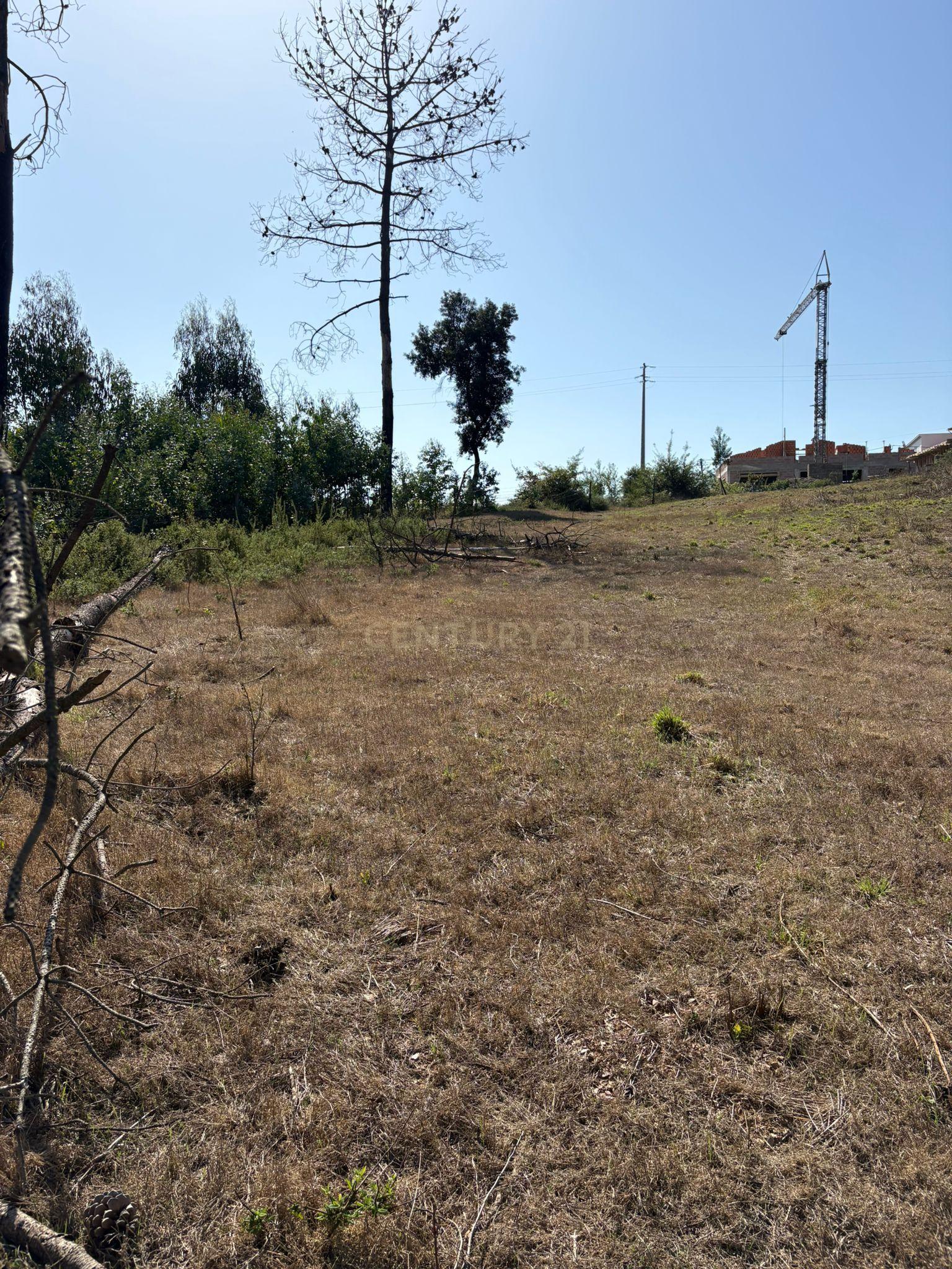 Fotografia 7 de Terreno Urbano em Angeja, Albergaria a Velha