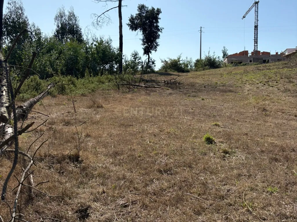 Terreno Urbano em Angeja, Albergaria a Velha - Image 7