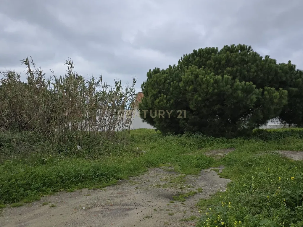 Terreno Urbano de 3.900 m², com moradia térrea sem licença – Charneca de Caparica - Image 6