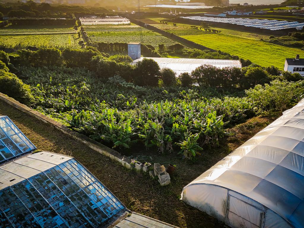 Propriedade Única com Estufas de Ananases e Potencial Urbano — Abelheira de Baixo, São Roque - Açores - Image 16
