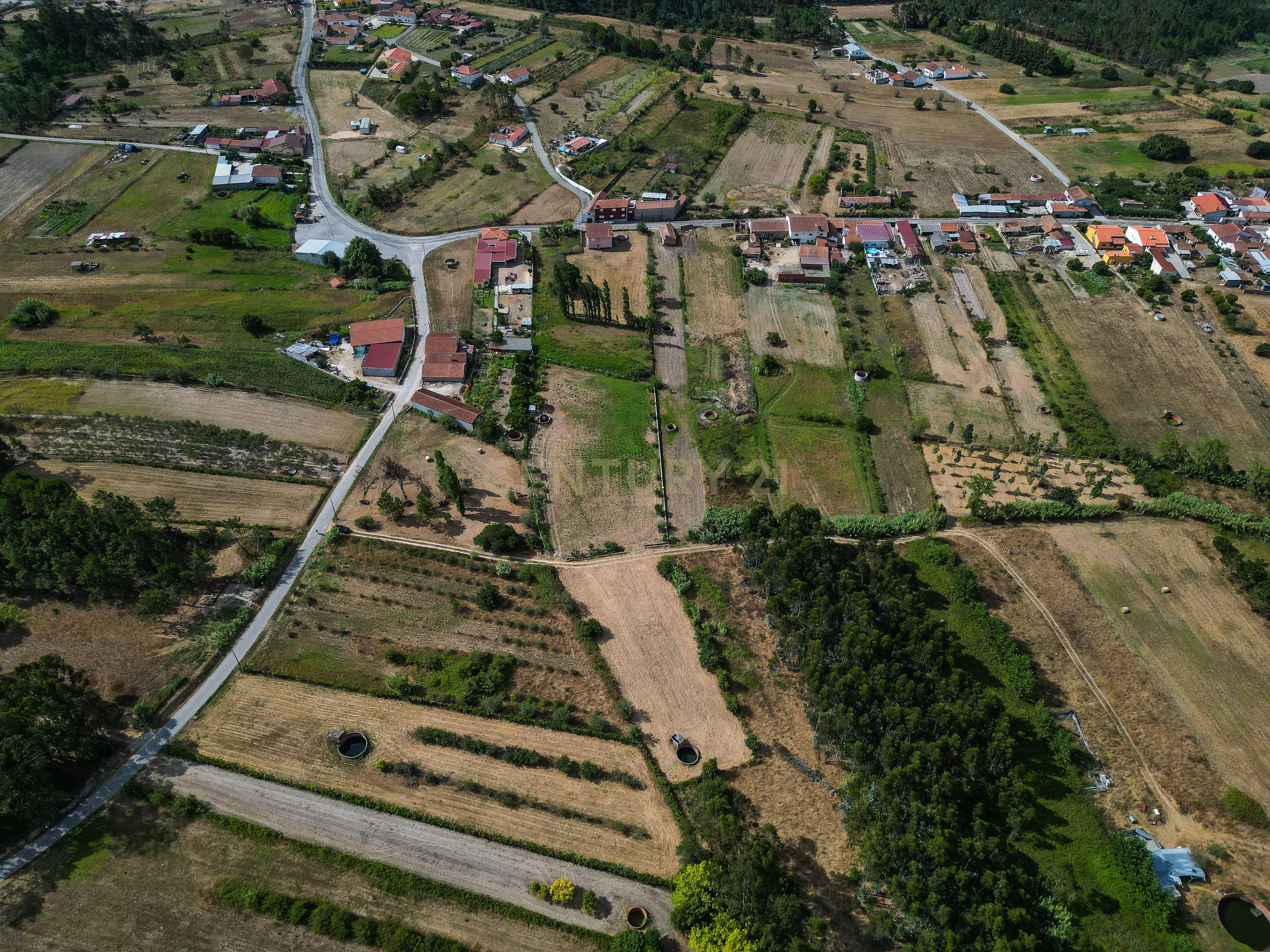 Fotografia 7 de Terreno de cultivo com poço em Cabeça Alta – Seixo de Gatões, Montemor-o-Velho