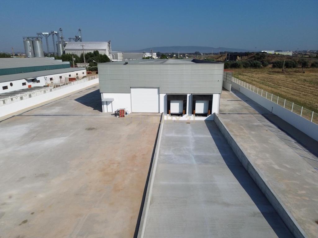 Armazém Industrial para Arrendamento – Riachos, Torres Novas - Image 1