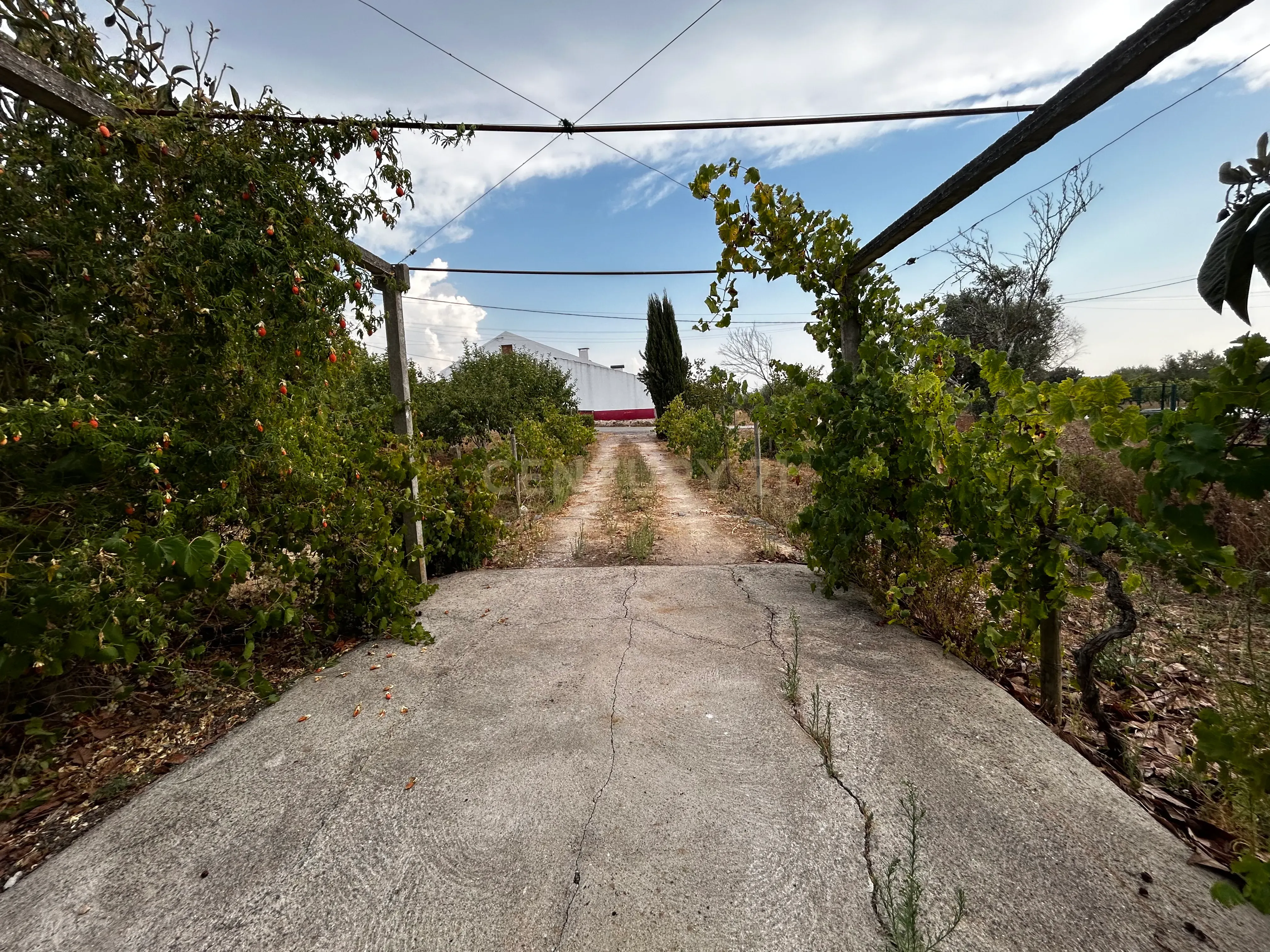 Fotografia 8 de Moradia em Tomar, Santarém - Oportunidade Única