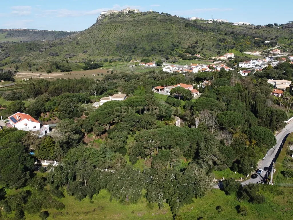 🏡 Terreno para Construção – 2.746 m² | Oportunidade Única Perto de Setúbal! 🌿 - Image 33