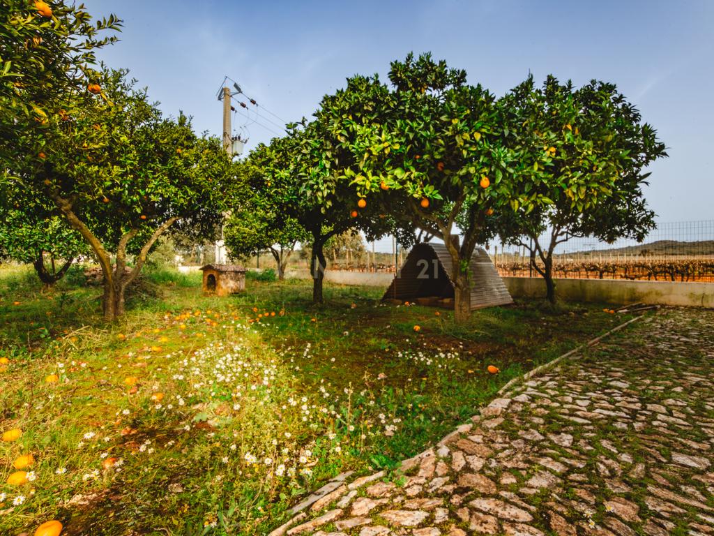 Moradia T3 em Mamporcão - Image 19