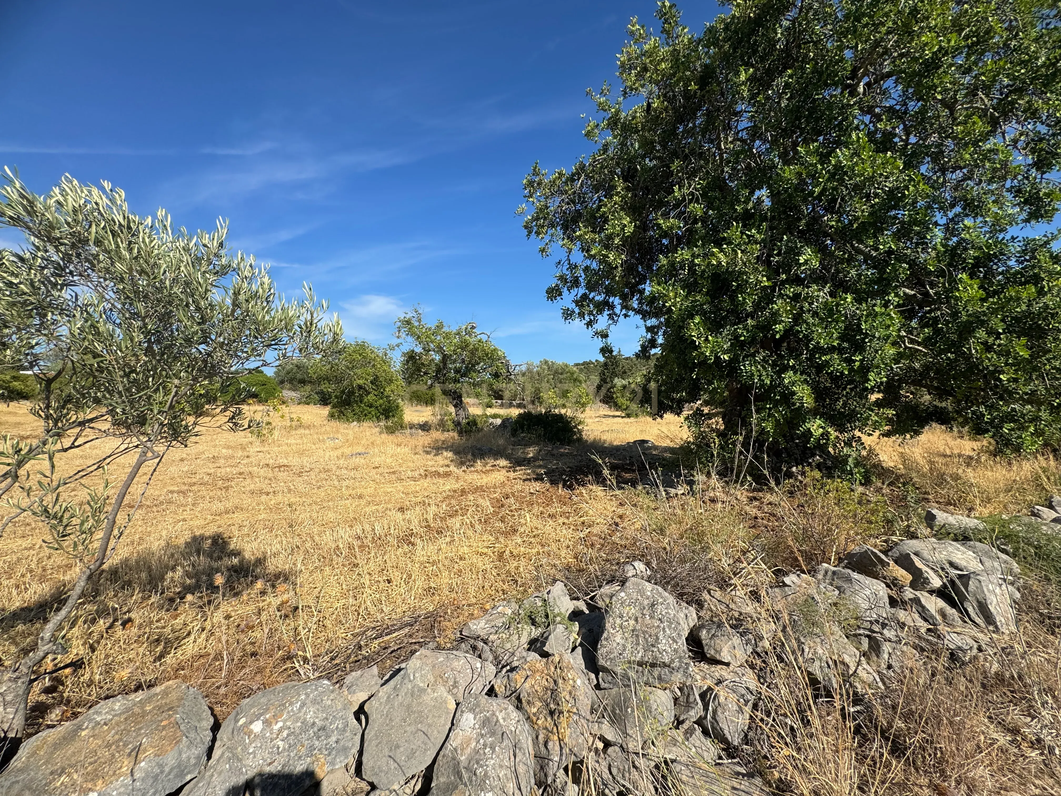 Fotografia 9 de Terreno Rústico com 3.560 m² em Pereiro – Moncarapacho, Olhão