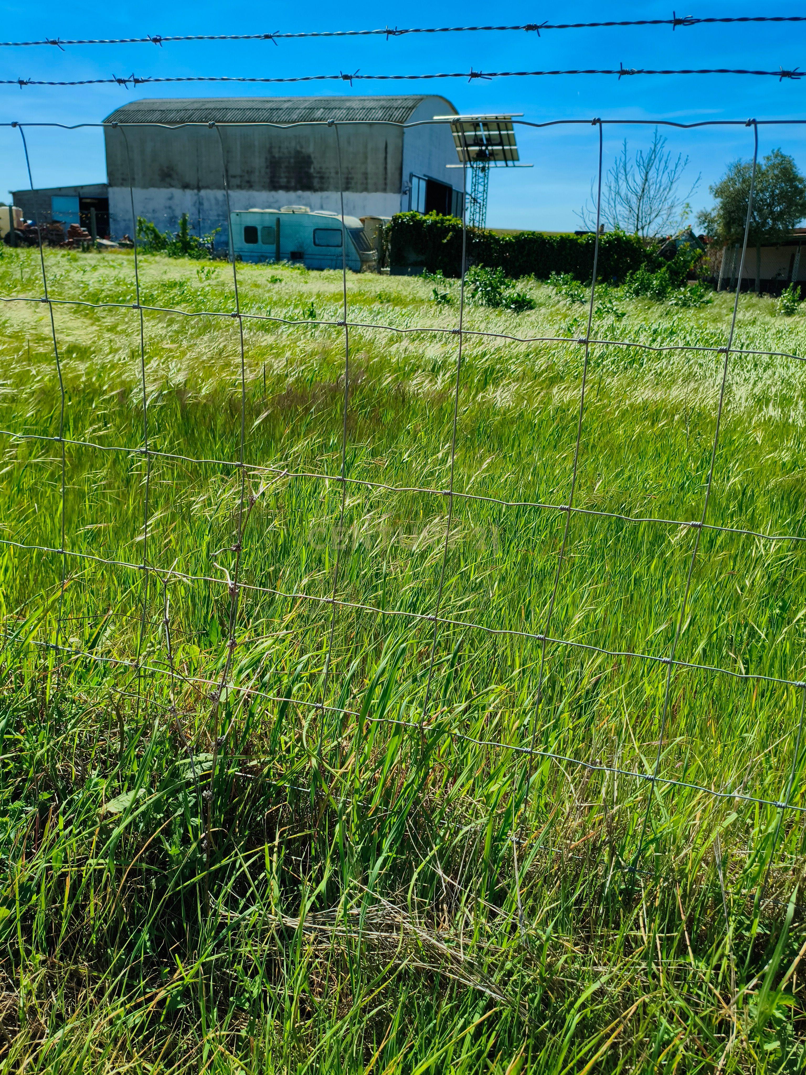 Fotografia 6 de Terreno em Montoito, Redondo - 2790m² por 57.000€