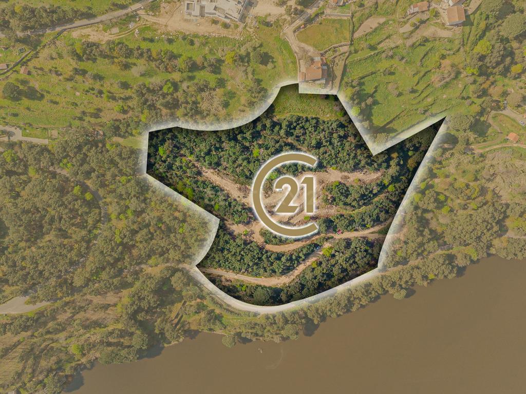 Terreno com magnifica Vista para o Rio Douro em Paços de Gaiolo - Image 2