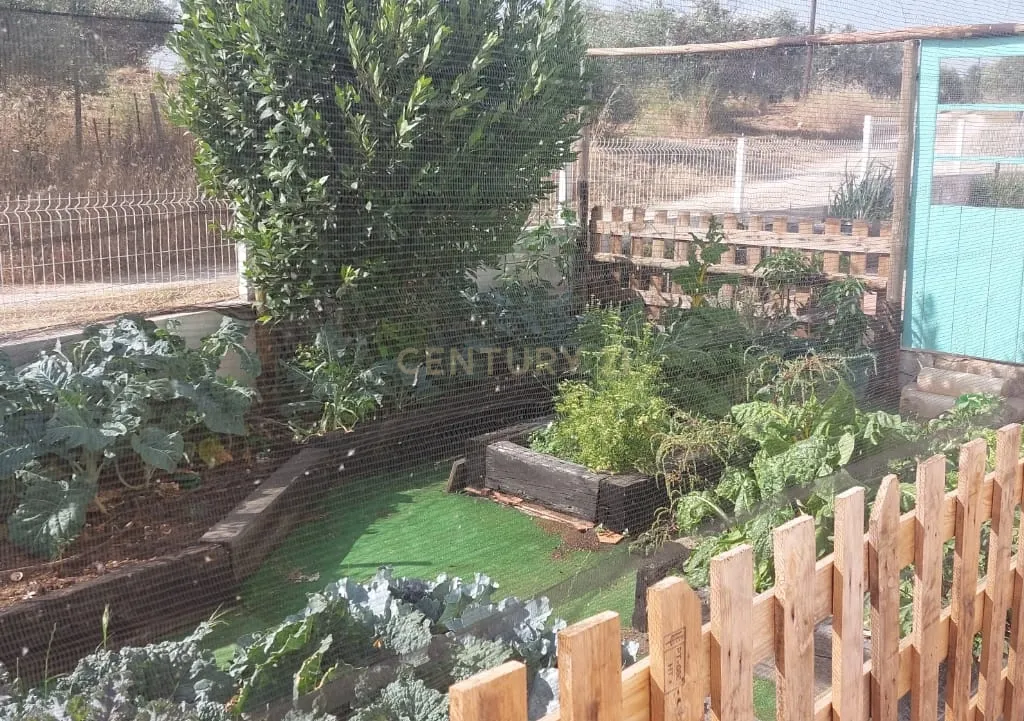 🏡 MONTE ALENTEJANO | Alandroal - Image 15