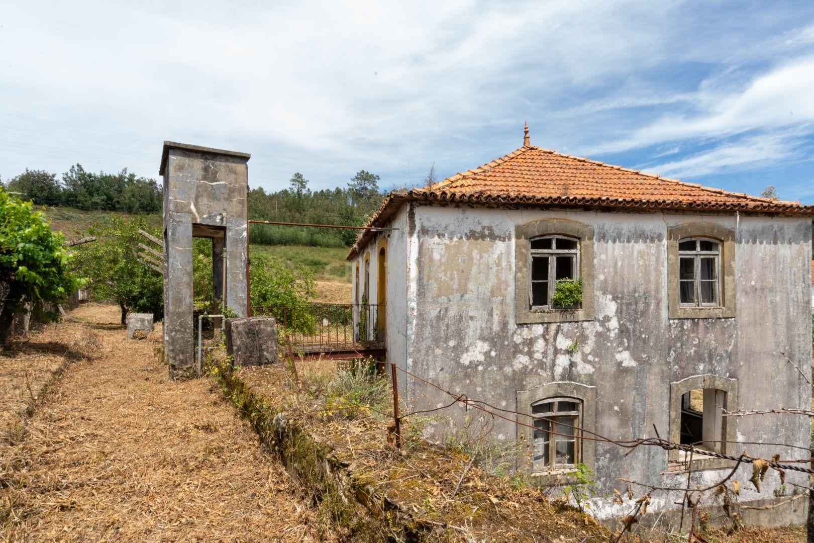Fotografia 10 de Quinta com duas casas independentes para restaurar e poço